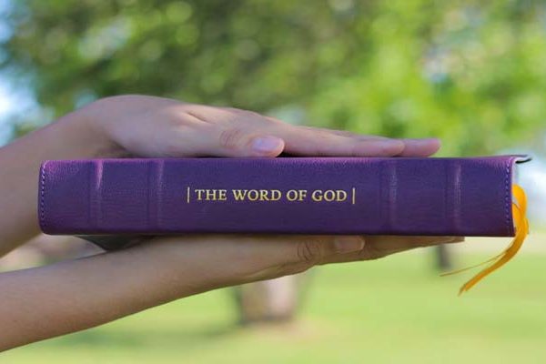 devouring the word of god