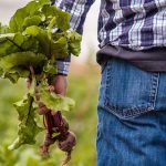 If You Want To Grow In The Christian Life