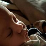 The Gift Of Peace