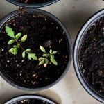 jesus promises gospel progress
