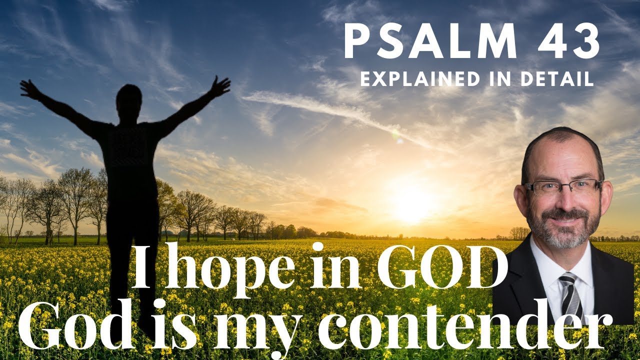 psalm chapter 43 my hope is in god god is my contender