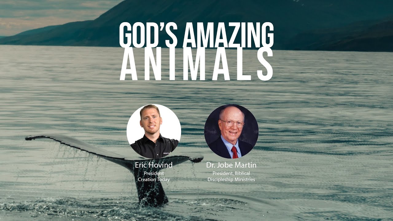 god's amazing animals ¦ eric hovind & dr. jobe martin ¦ creation today show #206 (bq)