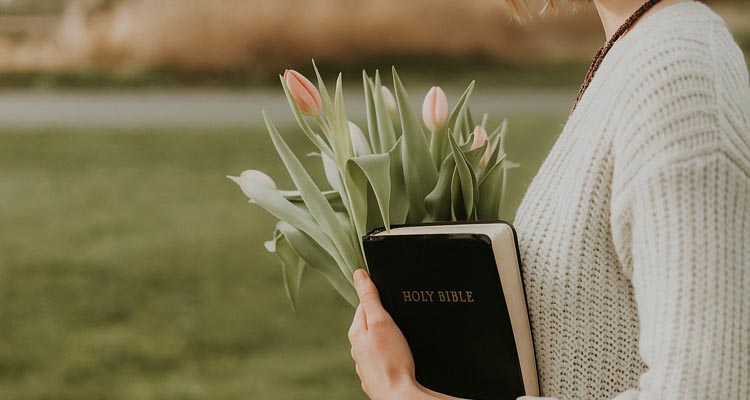 spring training in christ strength for the new season