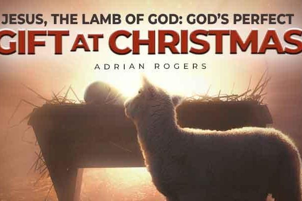 jesus, the lamb of god god’s perfect gift at christmas