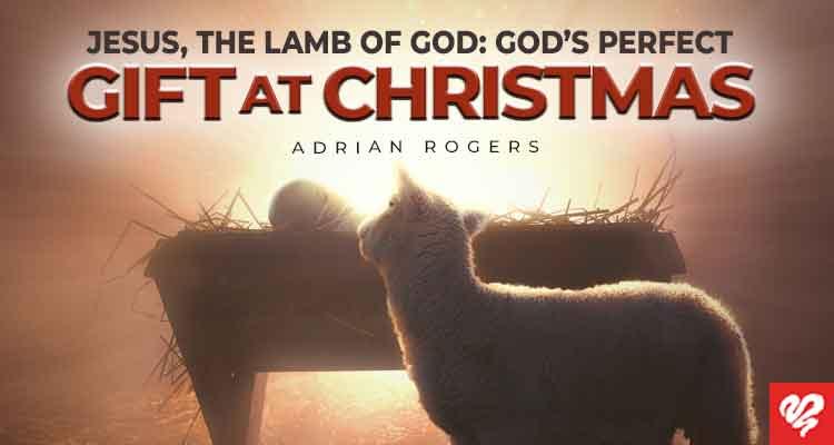 jesus, the lamb of god god’s perfect gift at christmas